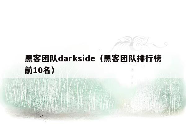 黑客团队darkside（黑客团队排行榜前10名）