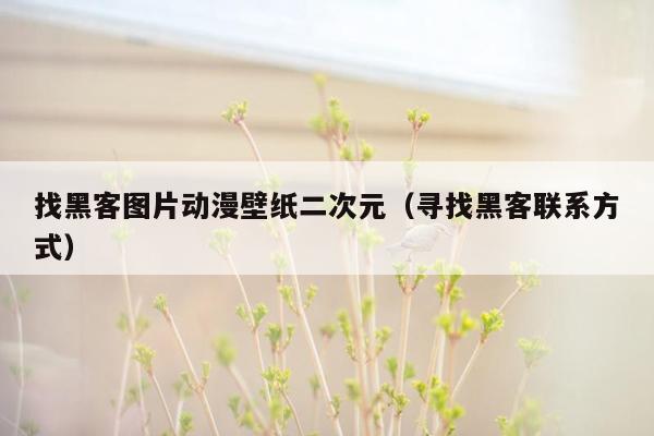 找黑客图片动漫壁纸二次元（寻找黑客联系方式）