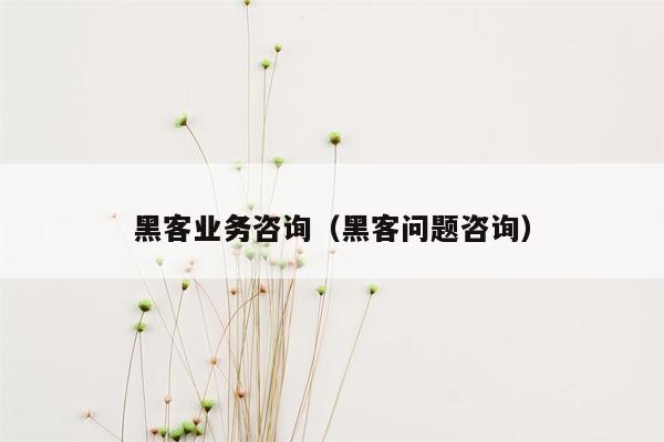 黑客业务咨询（黑客问题咨询）