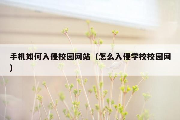 手机如何入侵校园网站（怎么入侵学校校园网）