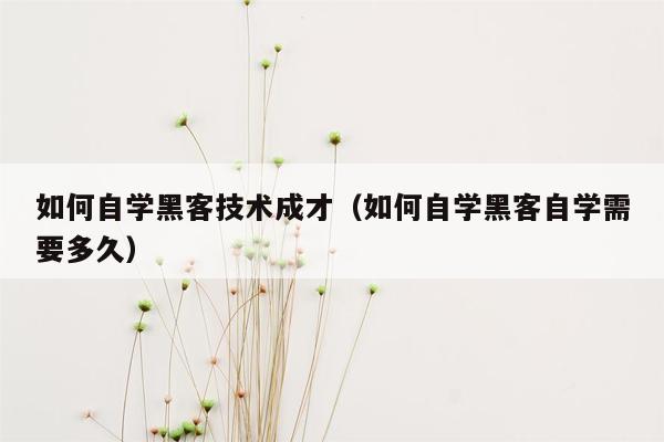 如何自学黑客技术成才（如何自学黑客自学需要多久）