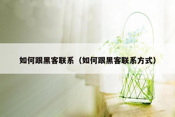 如何跟黑客联系（如何跟黑客联系方式）