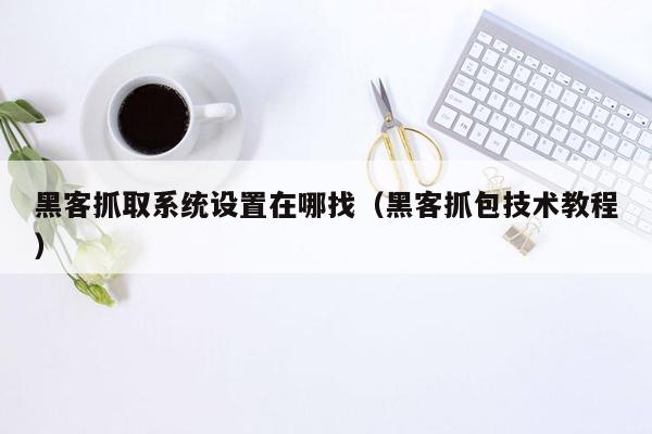 黑客抓取系统设置在哪找（黑客抓包技术教程）