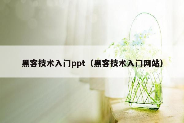 黑客技术入门ppt（黑客技术入门网站）