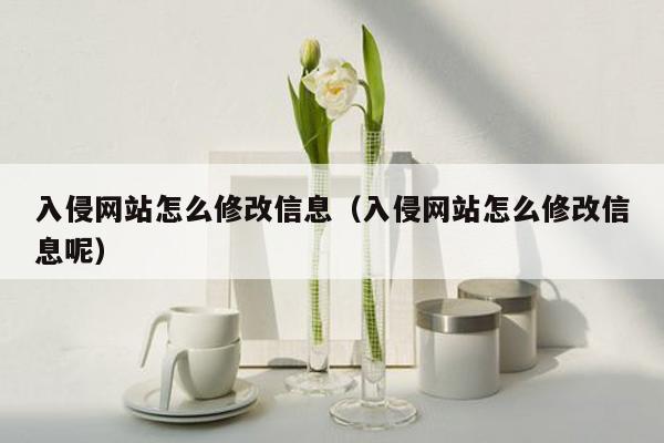 入侵网站怎么修改信息（入侵网站怎么修改信息呢）