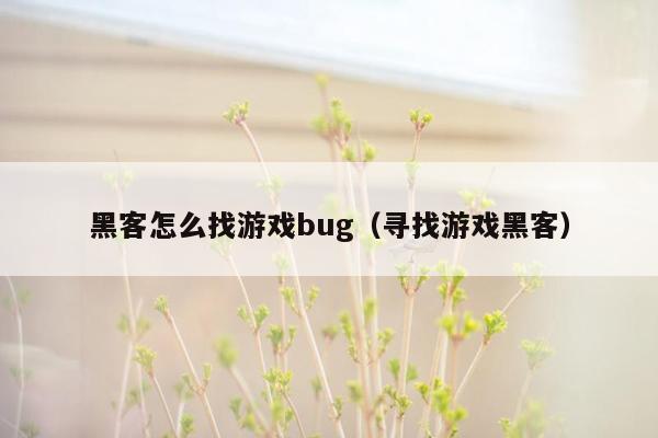 黑客怎么找游戏bug（寻找游戏黑客）