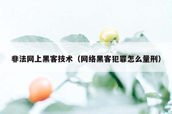 非法网上黑客技术（网络黑客犯罪怎么量刑）