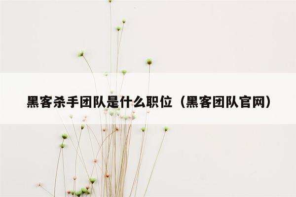 黑客杀手团队是什么职位（黑客团队官网）