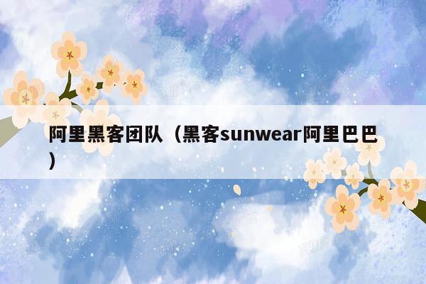 阿里黑客团队（黑客sunwear阿里巴巴）