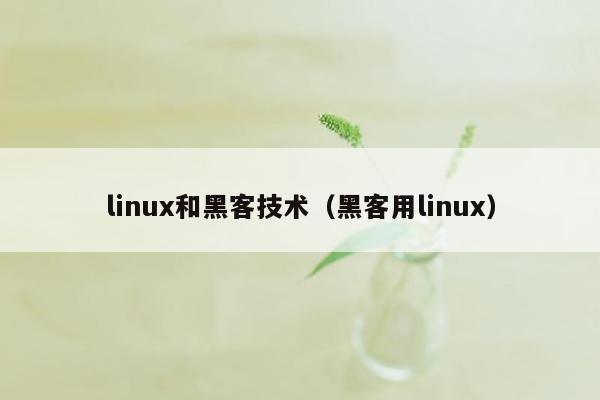 linux和黑客技术（黑客用linux）