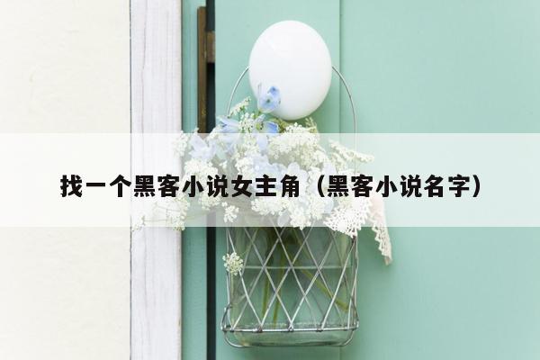 找一个黑客小说女主角（黑客小说名字）