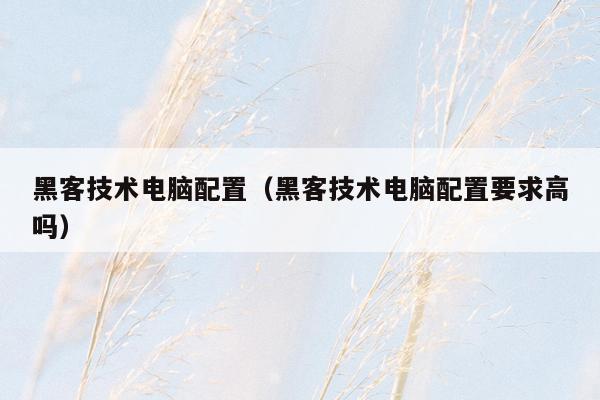 黑客技术电脑配置（黑客技术电脑配置要求高吗）