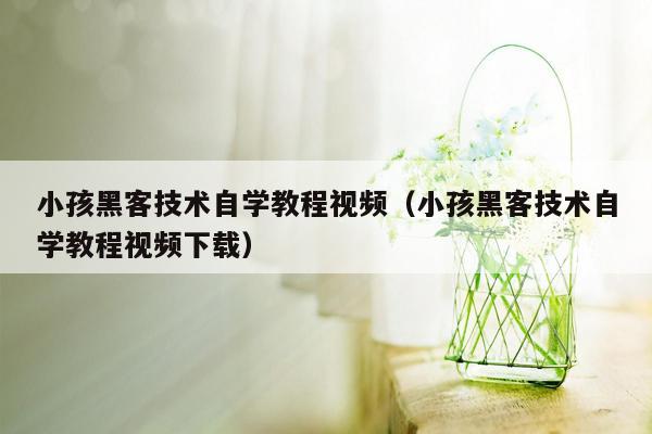 小孩黑客技术自学教程视频（小孩黑客技术自学教程视频下载）