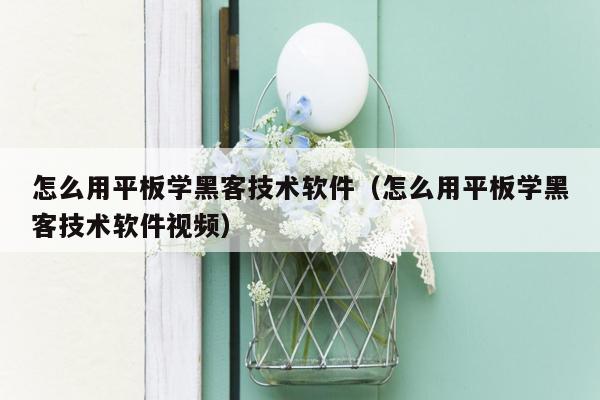 怎么用平板学黑客技术软件（怎么用平板学黑客技术软件视频）
