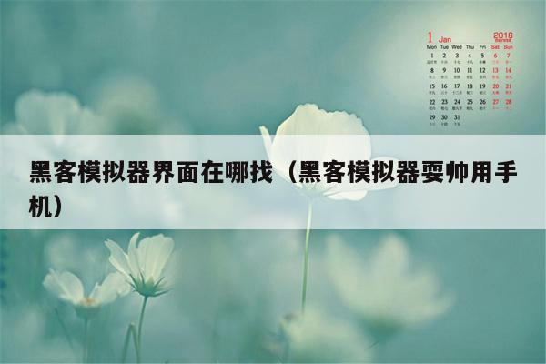 黑客模拟器界面在哪找（黑客模拟器耍帅用手机）