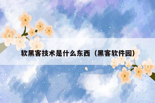 软黑客技术是什么东西（黑客软件园）
