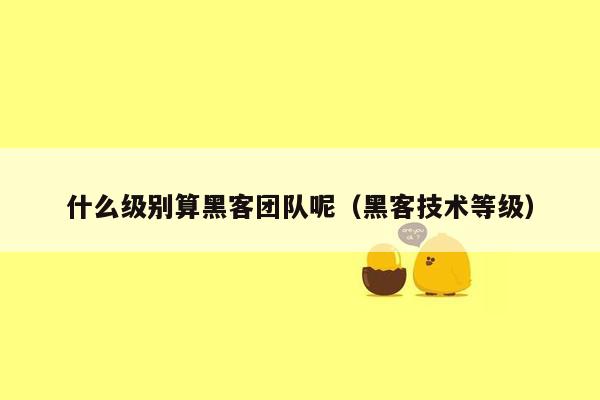 什么级别算黑客团队呢（黑客技术等级）