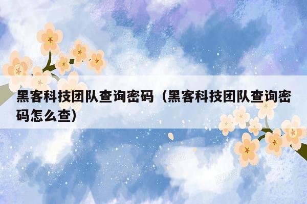 黑客科技团队查询密码（黑客科技团队查询密码怎么查）